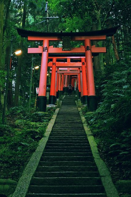 Jordancore Aesthetic, Beautiful Places In Japan, Fushimi Inari Taisha, Torii Gate, Japan Architecture, Japan Landscape, Japan Photography, Japon Illustration, Fotografi Alam Semula Jadi