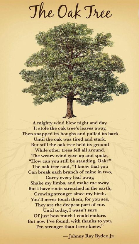 Nature Poems, Nursery Rhymes Poems, Old Poetry, Nature Poem, Childrens Poems, Childrens Poetry, Poetry For Kids, Kids Poems, Inspirational Poems