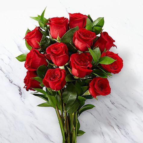 Dozen Red Roses, Love Rose Flower, Rose Flower Pictures, तितली वॉलपेपर, Red Rose Bouquet, Flower Delivery Service, Beautiful Red Roses, Valentines Flowers, Beautiful Flowers Wallpapers