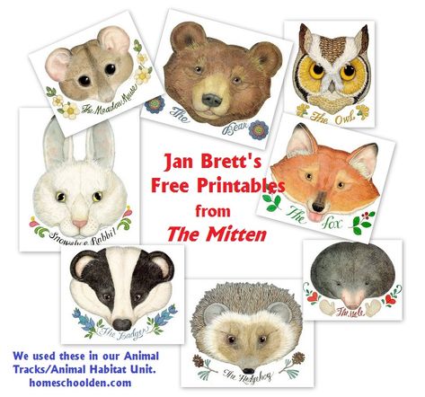 Activities based on Jan Brett's Book, The Mitten. Plus other activity ideas about the forest biome... PreK-K Pandas, The Mitten Book Activities, Forest Biome, Winter Theme Preschool, January Activities, Jan Brett, Winter Activities Preschool, The Mitten, Winter Books