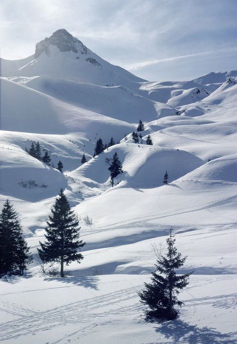 Adelboden, Snow Valley, Winter Szenen, Winter Schnee, Wallpaper Bts, Places In The World, Winter Scenery, Snow Scenes, Winter Beauty