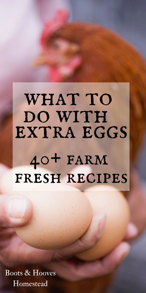 40+ farm fresh egg recipes. What to do with extra eggs when you’re in overabundance. Ideas and recipes for using up eggs. Many ways to preserve fresh eggs. Ideas To Use Up Eggs, Ways To Use Eggs Up, Egg Recipes To Freeze, Recipes Using Eggs For Dinner, Egg And Flour Recipes, Recipe To Use Up Eggs, What To Do With Excess Eggs, Recipe Using Eggs, Baking With Eggs
