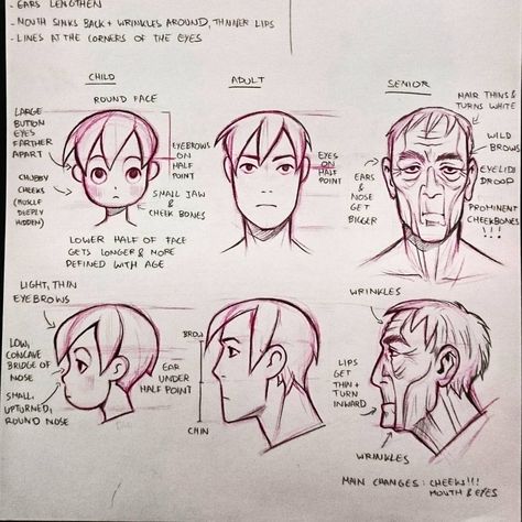 Some people asked me about pointers on how I draw different ages. How To Draw Age, Miyuliart Tutorials, Miyuli Art Tips, Cheekbone Drawing, Drawing Different Ages, How To Draw Cheekbones, Drawing Cheekbones, How To Draw Different Ages, Cheekbones Drawing