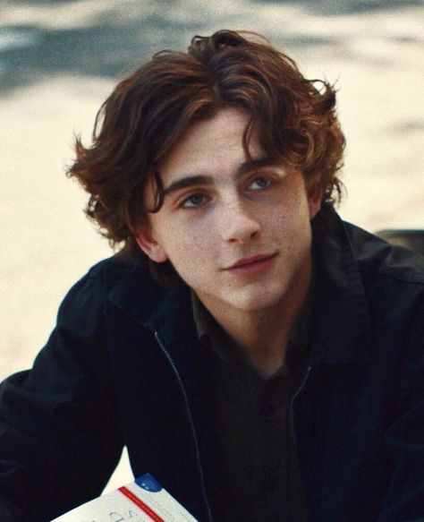 Tom Felton, Timothee Chalamet Lady Bird, Regulus Acturus Black, Boyfriend Quiz, Damien Chazelle, Short Grunge Hair, Timmy T, Regulus Black, Lady Bird