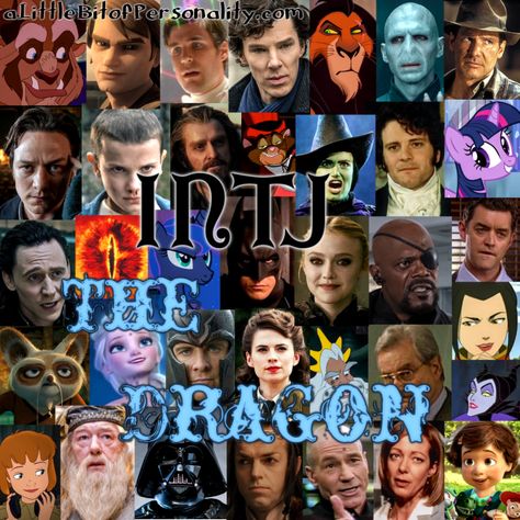 #INTJ - The Dragon | “I seek the means to fight injustice; to turn fear against those who prey upon the fearful.” - Bruce Wayne, Batman Begins | Type Heroes - A Little Bit of Personality Which Type Of Intj Are You, Intj Personality Traits, Universal Principles, Intj Characters, Mbti Charts, Intj Women, Virgo Personality, Intj T, Intj And Infj