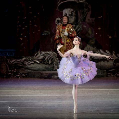 Olga Skripchenko as Lilac Fairy in The Sleeping Beauty Tutus, Sleeping Beauty Ballet Lilac Fairy, Sleeping Beauty Ballet Fairies, Lilac Fairy Costume, Lilac Fairy Tutu, Lilac Fairy Ballet, Sleeping Beuty, Ballet Costumes Tutus, Ballet Illustration