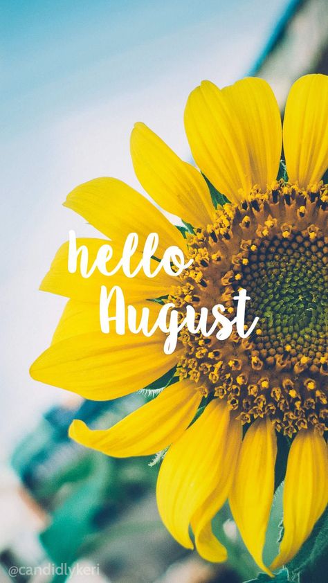 Hallo August, Hello August Images, Birthday Background Wallpaper, Neuer Monat, August Images, August Wallpaper, Hello August, Hello July, August Month