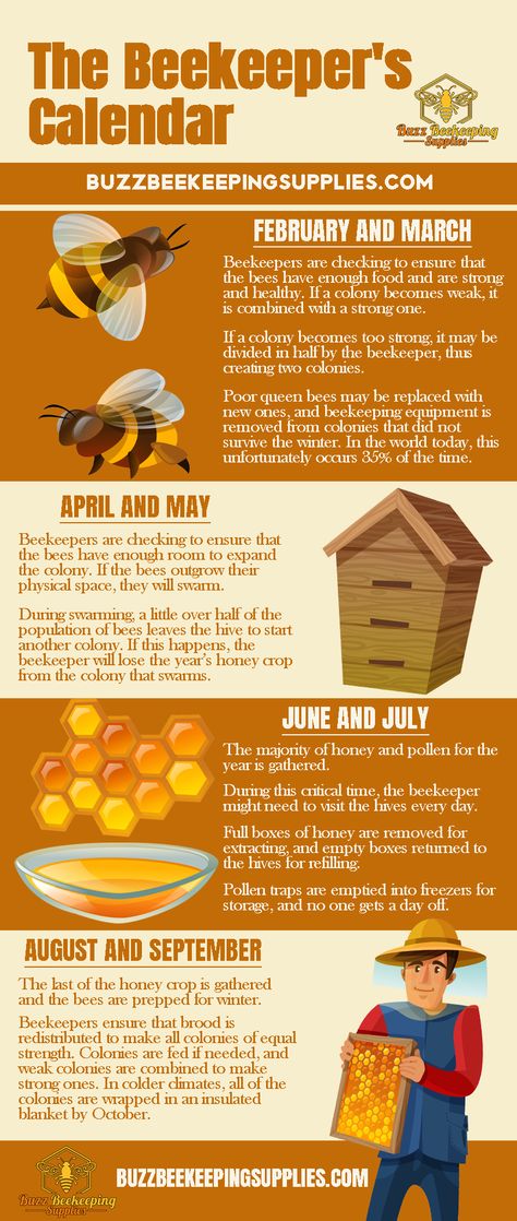 The Beekeeper’s Calendar Beehive Garden Backyard Beekeeping, Honey Harvesting Beekeeping, Beekeeping Calendar, Beekeeping Garden, Diy Beekeeping, Apiary Design, Apiary Beekeeping, How To Start Beekeeping, Honey Bee Farming