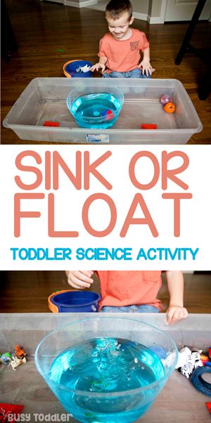 Float Sink Experiment, Science Class For Preschool, Montessori, Sink Or Float Experiment Preschool, What Floats And Sinks Experiment, Homeschool Preschool Activities Science Experiments, Preschool Science Projects Easy, Ocean Experiments For Preschool, Summer Science For Toddlers