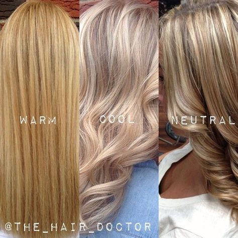 Need help deciphering exactly what the difference is between warm, cool and neutral blondes? Try putting together a compilation of your own work to show your clients the difference. Here's a visual guide to show you the differences. Different Color Blondes, Tmavý Blond, Neutral Blonde, Cool Blonde, Hair Color And Cut, Hair Envy, Great Hair, Hair Today, Blonde Hair Color