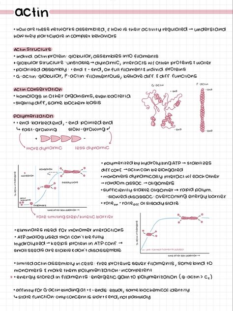 cell bio notes! Organisation, Goodnotes Notes Ideas Maths, Goodnotes Inspiration Notes, Online Notes Aesthetic Computer, Good Notes Notes Aesthetic, Goodnotes Math Notes, Aesthetic Notes Study Inspiration Ipad, Pretty Ipad Notes, Biology Notes Ipad