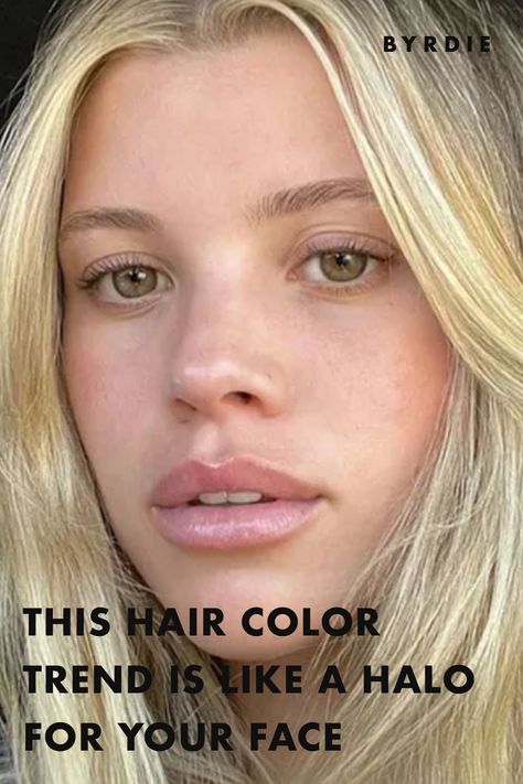 Hair Color Trends Scandi Hairline Trend, Scandinavian Hairline Blonde On Brown Hair, Scandinavian Hairline On Dark Hair, Swedish Hairline, Scandi Hairline Blonde, Scandinavian Hair Line, Scandinavian Hairline Brunette, Scandi Blonde Hair, Scandi Hair