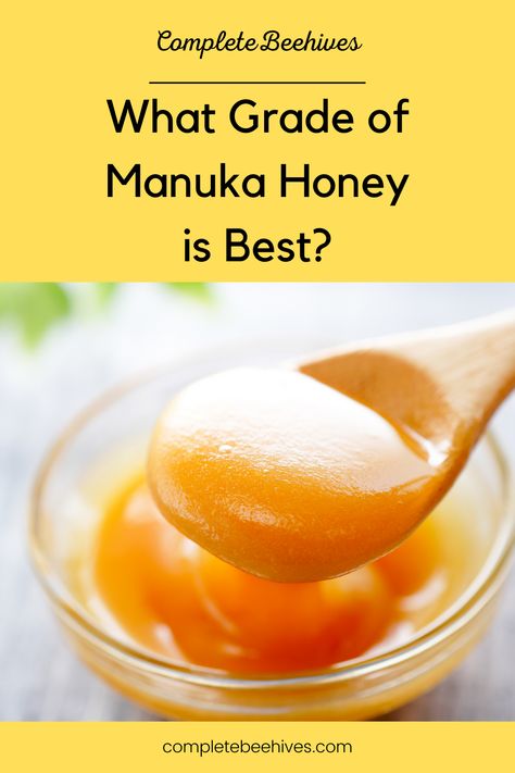 Manuka honey is a rare specialty honey that is prized for it’s delicate floral taste and it’s antibacterial and medicinal properties. You can only get manuka honey from the manuka bush that grows in New Zealand. Nature, How To Use Manuka Honey, Benefits Of Manuka Honey, Honey Health Benefits, Manuka Honey Benefits, Honey Lemon Water, Lemon Juice Benefits, Water Health Benefits, Hot Lemon Water