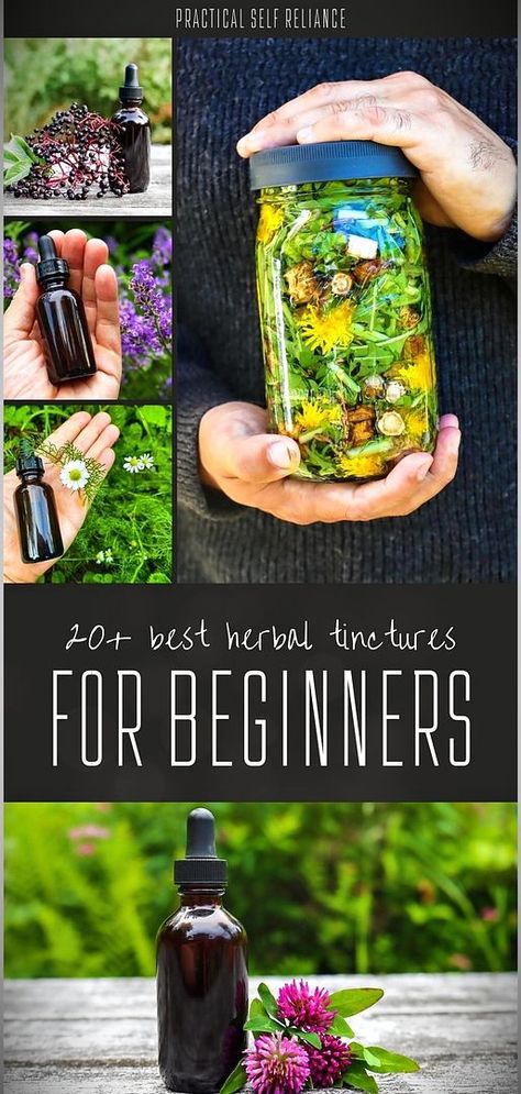 Step into the world of herbal healing with our 20+ Best Herbal Tinctures for Beginners. Dive into Herbs for Health & Herbal Medicine Recipes and discover how to make tinctures from chamomile, bee balm, and more. Fresh Herb Tincture, Diy Herbal Gifts, Herbal Tincture Recipes Healing Herbs, Tinctures For Beginners, Herbal Apothecary Recipes, Herbal Tinctures Recipes, Botanical Apothecary, Herbalism For Beginners, Dandelion Uses