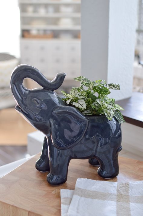 Elephant Ceramics Ideas, Aesthetic Elephant Wallpaper, Garden Pottery Ideas, Aesthetic Elephant, Elephant Aesthetic, Elephant Decorations, Elephant Ceramics, Elephant Plant, Elephant Planter