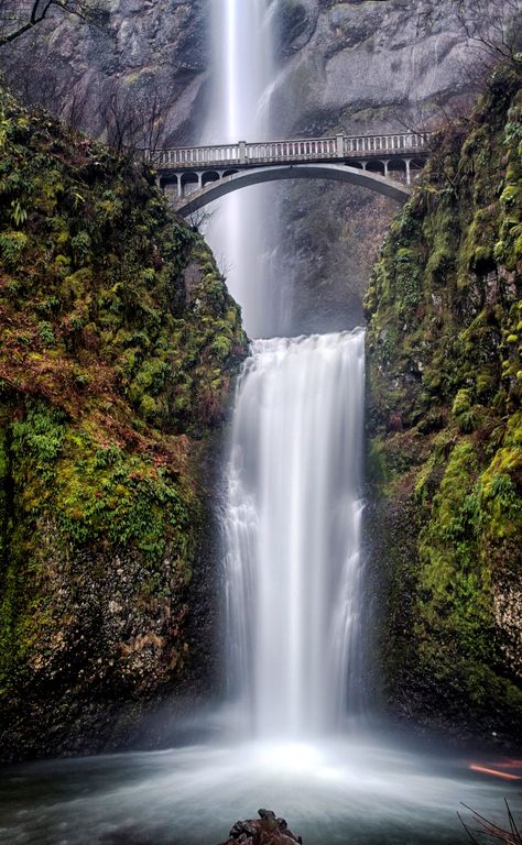 Best Waterfalls in the US that will captivate your senses and leave you dumbfound. Nature, Pretty Places To Travel, Things To Do In Oregon, Beautiful Place In The World, Waterfall Pictures, Waterfall Adventure, Travel Things, Breathtaking Places, Travel Wall