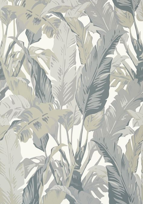 TRAVELERS PALM, Grey, T10129, Collection Tropics from Thibaut Tree Leaf Wallpaper, Travelers Palm, Palm Print Wallpaper, Travellers Palm, Thibaut Wallpaper, Palm Wallpaper, Tropical Wallpaper, Tropical Design, Deco Floral