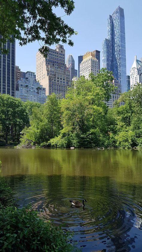 Central Park New York City New York Aesthetic, New York Places Aesthetic, New York Aesthetic Central Park, New York Park Aesthetic, Ny Central Park, New York Park Central, Nyc Aesthetic Central Park, Spring In New York Aesthetic, Nyc Central Park Aesthetic