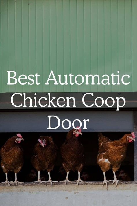 Coupe, Lights In Chicken Coop, Solar Chicken Coop Door, Best Automatic Chicken Coop Door, Diy Automatic Chicken Coop Door, Automatic Coop Door, Chicken Coupe, Automatic Chicken Door, Chicken Door