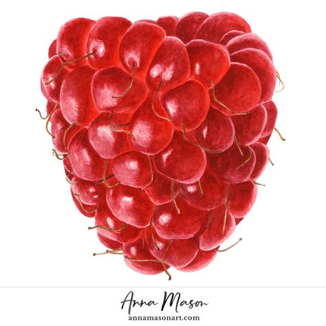 Raspberry - Anna Mason Art Fruit Drawing, Anna Mason, Illustration Botanique, Fruits Drawing, Afrique Art, Watercolor Food, Watercolor Fruit, Kunst Inspiration, Fruit Painting