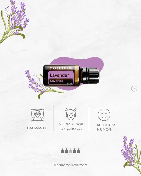 Óleo essencial doTERRA Instagram, Graphic Design, Lavanda Doterra, Spa Moodboard, Health Ideas, Doterra Oils, Doterra, Quick Saves