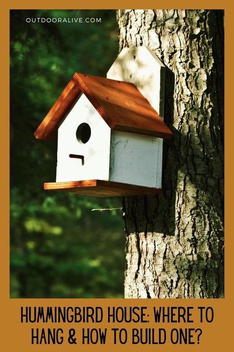 Hummingbird House: Where To Hang & How To Build One Hummingbird House Plans, How To Build A Hummingbird House, Hummingbird Houses Diy, Humming Bird Houses Diy, Hummingbird House Diy How To Make, Diy Hummingbird House, Butterfly House Diy, Hummingbird House Diy, Diy Bird Houses