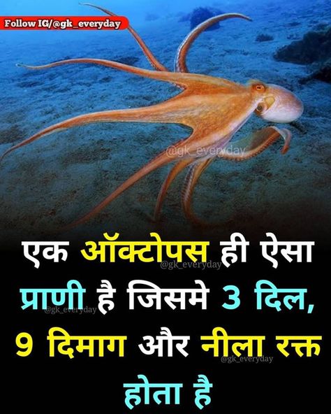 Interesting Facts About World In Hindi, Amazing Science Facts In Hindi, Facts About World, Facts About Life, अंग्रेजी व्याकर�ण, Science Facts Mind Blown, Rinku Singh, Hindi Facts, Youtube Facts