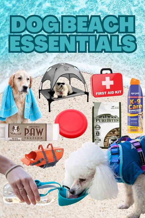 Dog Mom Essentials, Dog Beach Essentials, Pet Sunscreen, Puppy Room, Dog Accesories, Cavalier Puppy, Beach Dog, Dog Friendly Beach, House Vibes