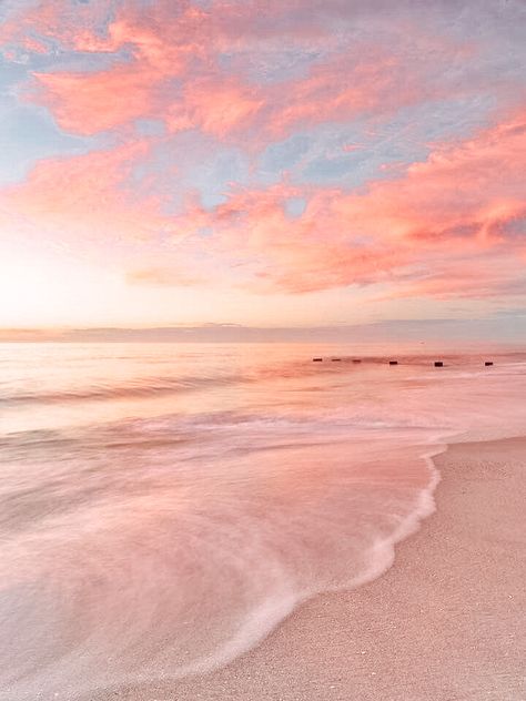 Nature, Pink Seashells Aesthetic, Pink Beach Aesthetic, Beach Wallpaper Hd, Beachy Wallpapers, Summer Beach Wallpaper, Beach Wallpapers, Ocean Art Painting, Beach Inspiration