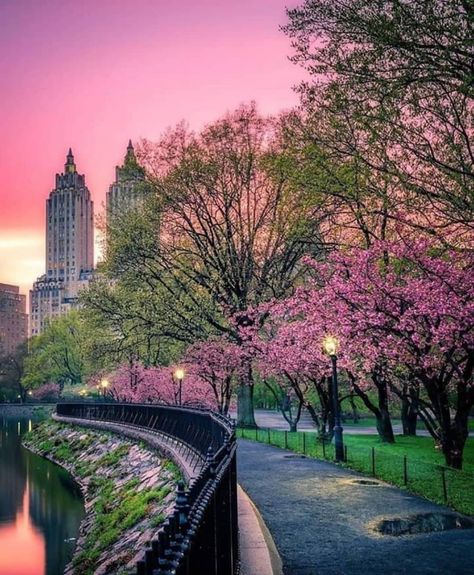 New York City on Instagram: “Central Park walks. Who would you walk with here? 📸 @wdsfilm” Cental Park, Central Park Aesthetic, Urban Heat Island, New York City Aesthetic, Central Park Nyc, Nyc Park, Nyc Aesthetic, New York Central, Urban Park