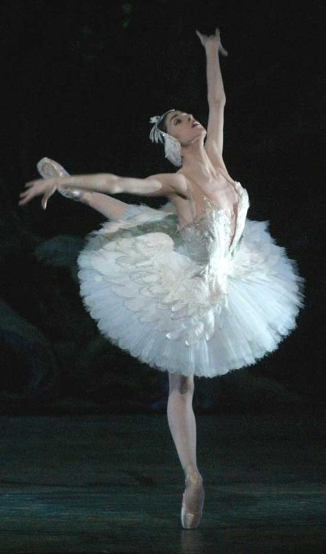Paloma Herrera as Odette in Swanlake Black Swan Movie, Music Box Ballerina, Swan Lake Ballet, Dance Magazine, Ballet Images, Ballet Beauty, Dance Dreams, Ballet Poses, American Ballet Theatre