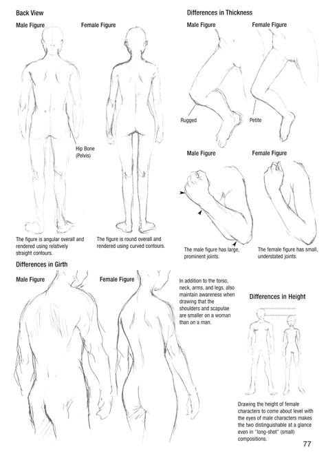 Character Drawing Back View, How To Draw Body Back View, Art Reference Poses Back View, Person Looking Up Reference Back View, How To Draw Back View Person, Back View Body Reference, Back View Of Person Reference, Person With Back Turned Reference, Male Back View Reference