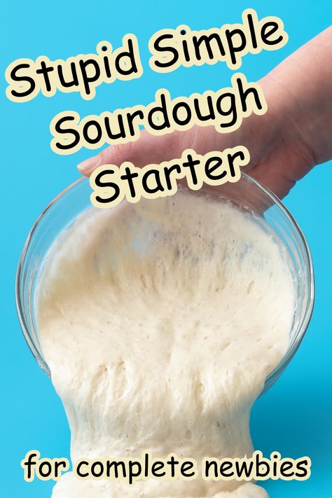 How To Start A Bread Starter, 1 Day Sourdough Starter, How To Make A Bread Starter, Diy Bread Starter, Sourdough Starter Recipe For Beginners, Making Your Own Sourdough Starter, Sourdough Starter And Bread Recipe, Simple Sourdough Bread Recipe With Starter, Organic Sour Dough Starter