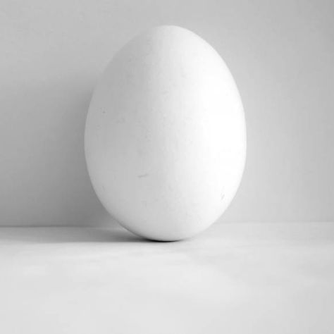 Chicken Feed For Laying Hens, Laying Hens Breeds, Chickens Laying Eggs, Best Chicken Feed, Hen Wallpaper, Cute Chicken Names, Chick Feed, Chicken Quotes, Egg Laying Hens