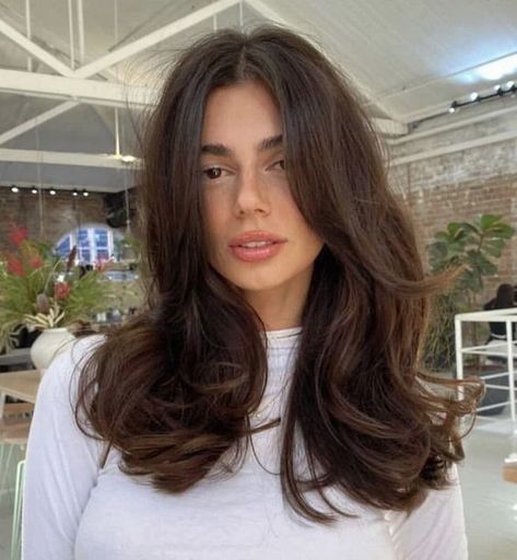 CURTAIN BANG INSPO | 2022 WOMEN'S HAIRSTYLES Brown Hair Inspo Layers, Medium Blowout Hair, Long Brown Hair With Layers Straight, Layered Blowout Hair Medium, Medium Length Haircut With Layers Straight Hair Trending Hairstyles, Blowout Hair Brown, Straight Brown Hair With Layers, Brown Blowout Hair, Blowout Hair Brunette