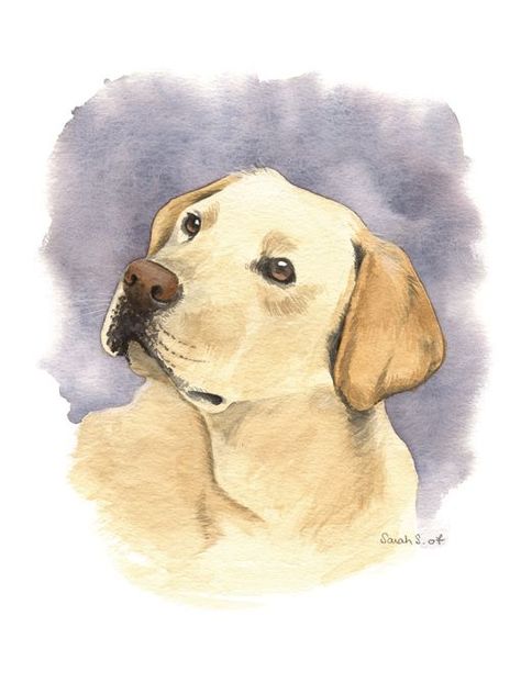 dogpaintings #dogshow #doggy Labrador Dog Illustration, Dog Sketch Labrador, Labrador Watercolor Painting, Labrador Painting Easy, Labrador Puppy Drawing, Dog Drawing Labrador, Labrador Drawing Simple, Labrador Dog Drawing, Draw Labrador