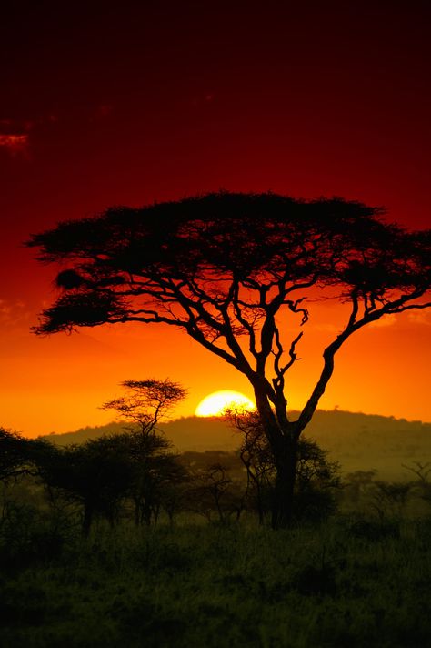 Beautiful South Africa, South Africa Landscape Photography, Africa Asethic, African Sunset Photography, Afrika Aesthetic, South Africa Wallpaper, South African Aesthetic, South Africa Aesthetic, South African Landscapes