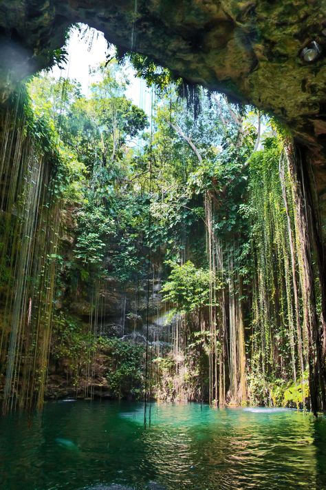 Ik Kil Cenote, Mexico Nature, Outdoor Camping, Cenote Mexico, Chichen Itza Mexico, Take Better Photos, Best Places To Travel, Mexico Travel, Lake Tahoe, Cool Places To Visit