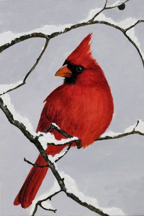 Cardinal Birds Art, Cardinal Watercolor, Cardinal Painting, Bird Paintings On Canvas, Bird Painting Acrylic, Winter Birds, Christmas Paintings On Canvas, Oil Painting Canvas, Winter Bird