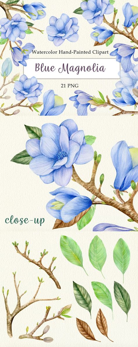 Blue Magnolia, Flowers Clip, Invitations Card, Background Clipart, Floral Branch, Watercolor Blue, Floral Clipart, Branding Services, Magnolia Flower
