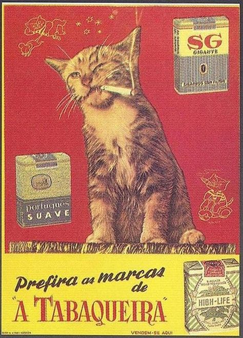 Bill The Cat, Grafika Vintage, Sejarah Kuno, Foto Langka, Plakat Design, Old Advertisements, Retro Ads, Cat Posters, Vintage Poster Art