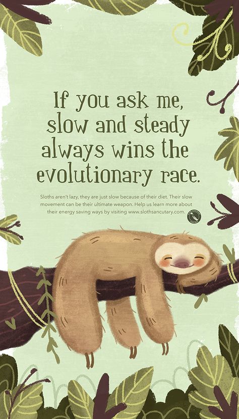 The Sloth Sanctuary of Costa Rica on Behance Humour, Sloth Quote, Sloth Tattoo, Sloth Birthday, Sloth Life, Sloth Art, Cut Animals, Sloth Lovers, Sloth Gift