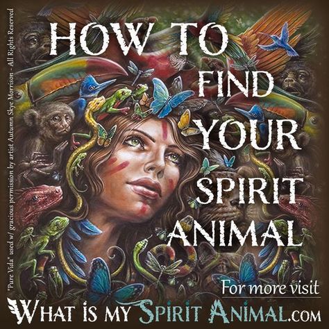 How to Find Your Spirit Animal - Artist is Autumn Skye - Pure Vida 1200x1200 What's My Spirit Animal, Find My Spirit Animal, Animal Totem Spirit Guides, Sarah Stone, Find Your Spirit Animal, Reading People, Spirit Animal Meaning, Animal Meanings, Animal Spirit Guide