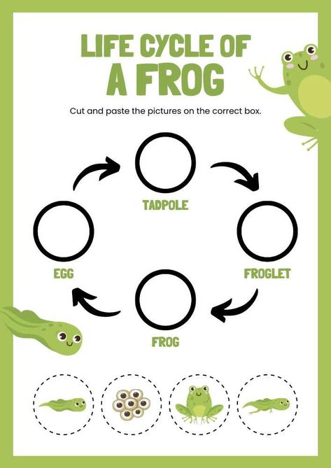 Life Cycle of A Frog English Animal Worksheet Life Cycle Of Frog Worksheet, Life Cycle Of Animals Worksheet, Frog Cycle Life, Life Cycle Of Frog Preschool, Animal Life Cycles Preschool, The Life Cycle Of A Frog, Life Cycle Of A Frog Worksheet, Frog Cycle Crafts Preschool, Frog Life Cycle Activities Preschool