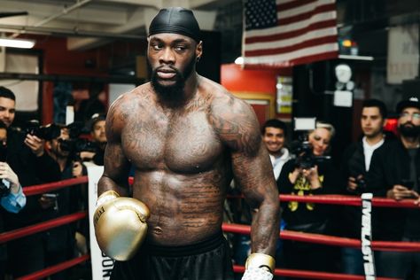 Boxing Images, Deontay Wilder, Dangerous Sports, Legendary Pictures, Boxing History, Champions Of The World, Professional Boxer, Ufc Fighters, Anthony Joshua