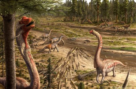 These artists use scientific rigour to show how prehistoric life can still be connected to the modern world. Feathered Dinosaurs, Prehistoric Wildlife, Prehistoric World, Dinosaur Skeleton, Ancient Animals, Outdoors Tattoo, Paleo Art, Extinct Animals, Jurassic Park World