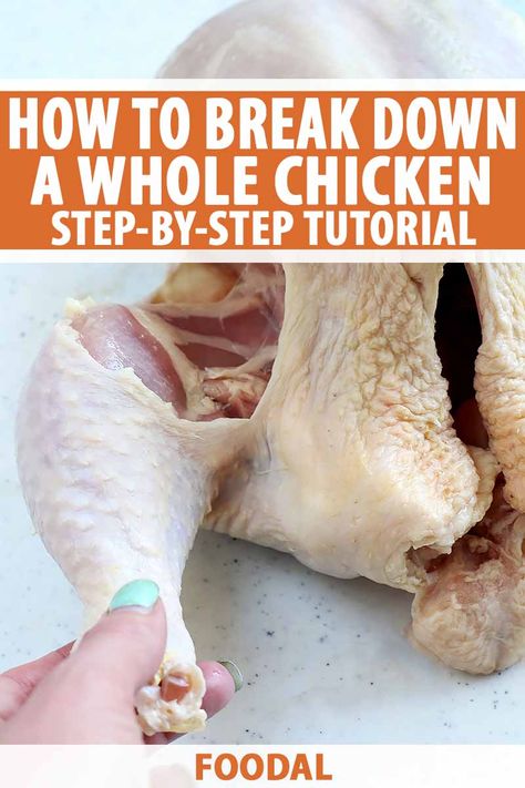 How To Break Down A Chicken, Butchering Chickens, Chicken Processing, Lemon Thyme Chicken, Provident Living, Meat Birds, Scratch Recipes, Cooking With Beer, Cook Smarts