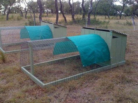 Chicken Pen, Portable Chicken Coop, Chicken Tractors, Chicken Tractor, Homestead Chickens, Chicken Cages, Chicken Run, Best Chicken Coop, Chicken Coop Designs