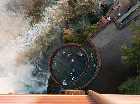 Look down at this Brazilian waterfall’s observation deck in this National Geographic Photo of the Day. Nature, America Continent, Turtle Images, Observation Deck, Wildlife Pictures, Iguazu Falls, World Photo, Photo Of The Day, Stay Beautiful