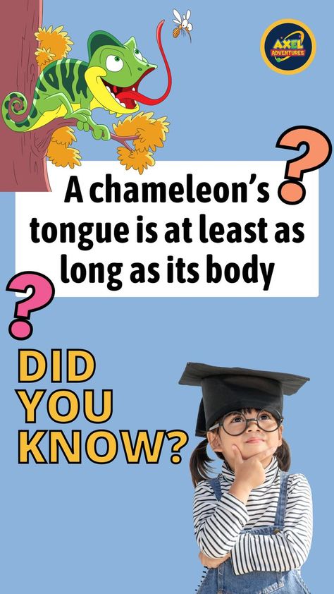 Interesting Animal Facts For Kids | Animal Fun Facts For Kids | Did You Know Post | Did You Know Facts For Kids | Fact In English | Fact Knowledge | General Knowledge Did You Know | Daily General Knowledge | Knowledge Education | Knowledge Facts | Knowledge For Kids | Mind Blowing Facts | Did You Know Facts Animal Fun Facts, Chameleon Facts, Chameleon Tongue, Interesting Animal Facts, Animal Facts Interesting, Animal Facts For Kids, Interesting Animal, Fun Facts For Kids, Education Poster Design